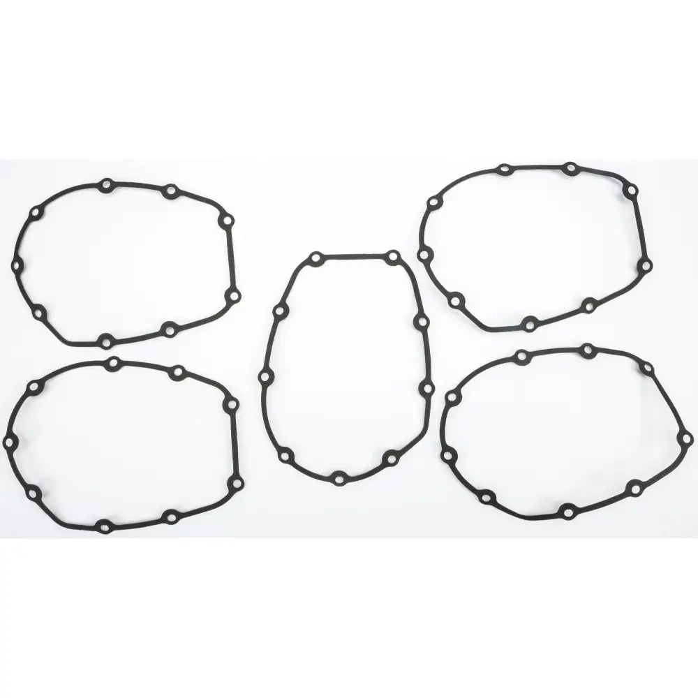 Cam Cover Gasket M8.032’’afm 5pk OEM #257700370 - Gasket/Seal Components