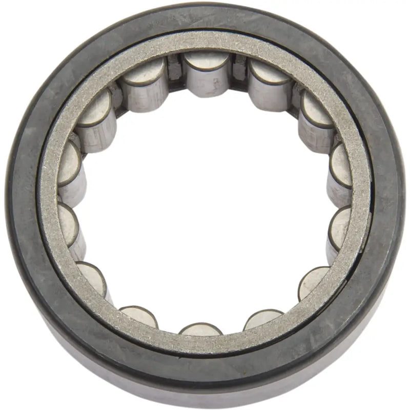 Load image into Gallery viewer, Eastern Lefty Bearing Kit - Replacement Bearing - Engine Components
