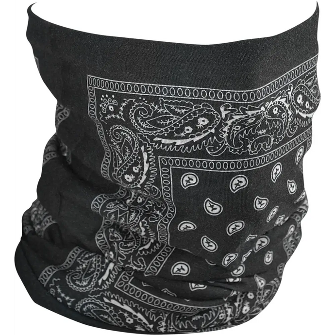 Motley Tube Fleece Lined Black Paisley