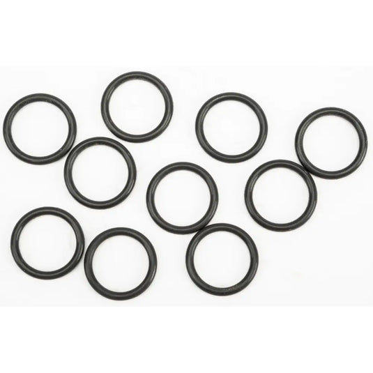 O-ring Oil Pump Plug 10/pk