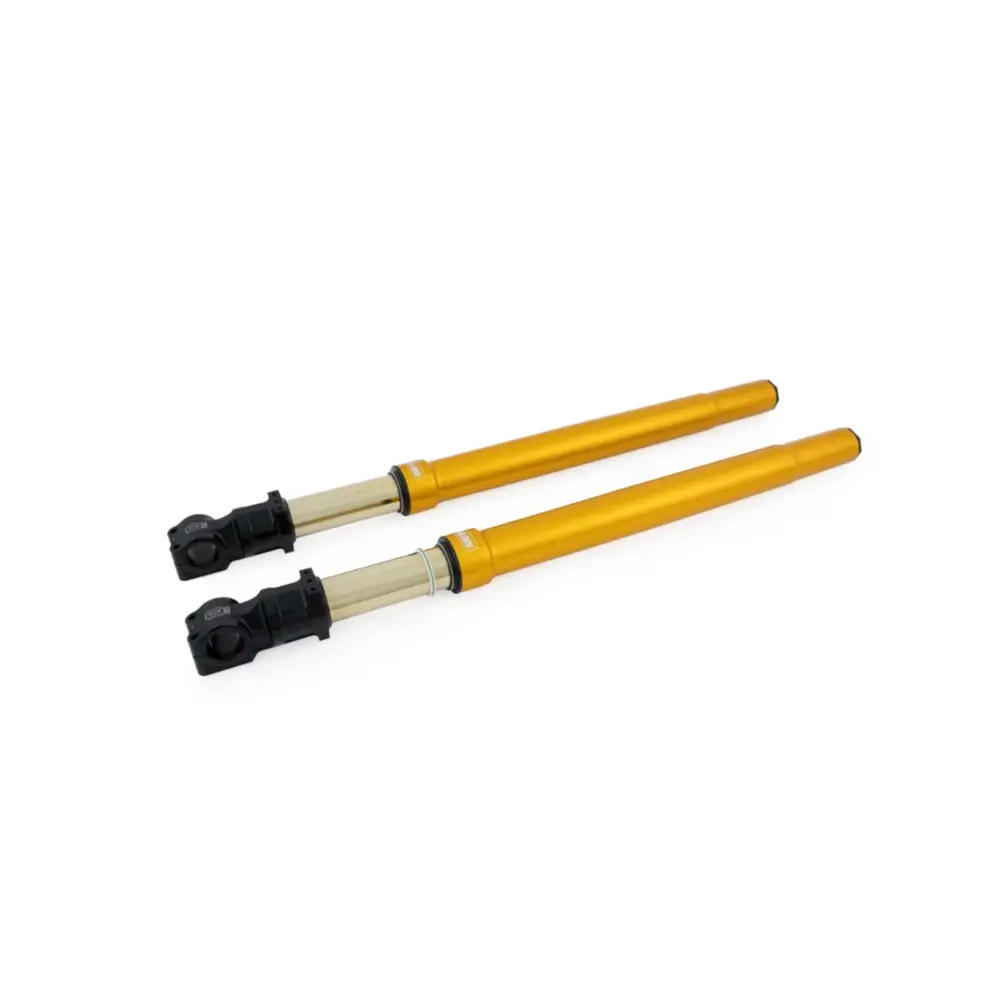 Gold motorcycle front forks.