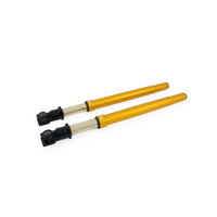 Gold motorcycle front forks.