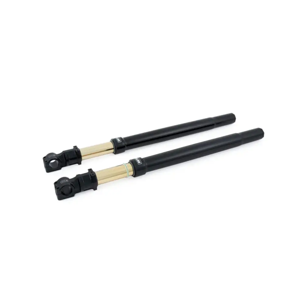 Two black and gold hydraulic cylinders.