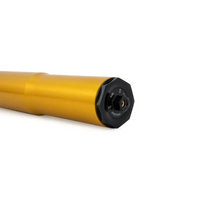 Gold-colored motorcycle fork with black adjustment cap.