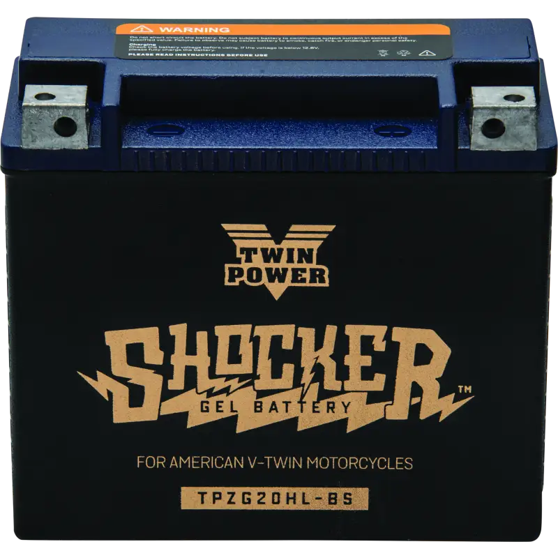 Twin Power Shocker Batteries