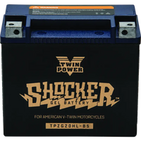 Twin Power Shocker Batteries