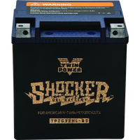 Twin Power Shocker Batteries