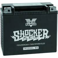 Twin Power Shocker Batteries