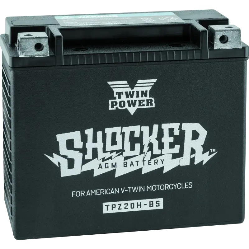 Twin Power Shocker Batteries