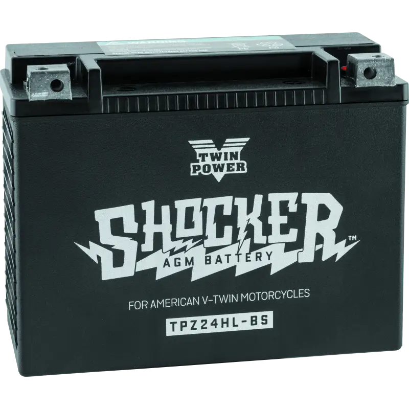 Twin Power Shocker Batteries