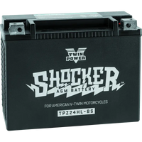 Twin Power Shocker Batteries