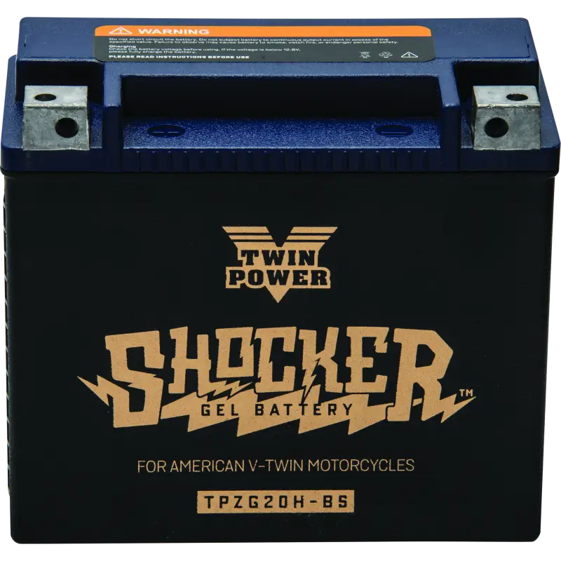 Twin Power Shocker Batteries