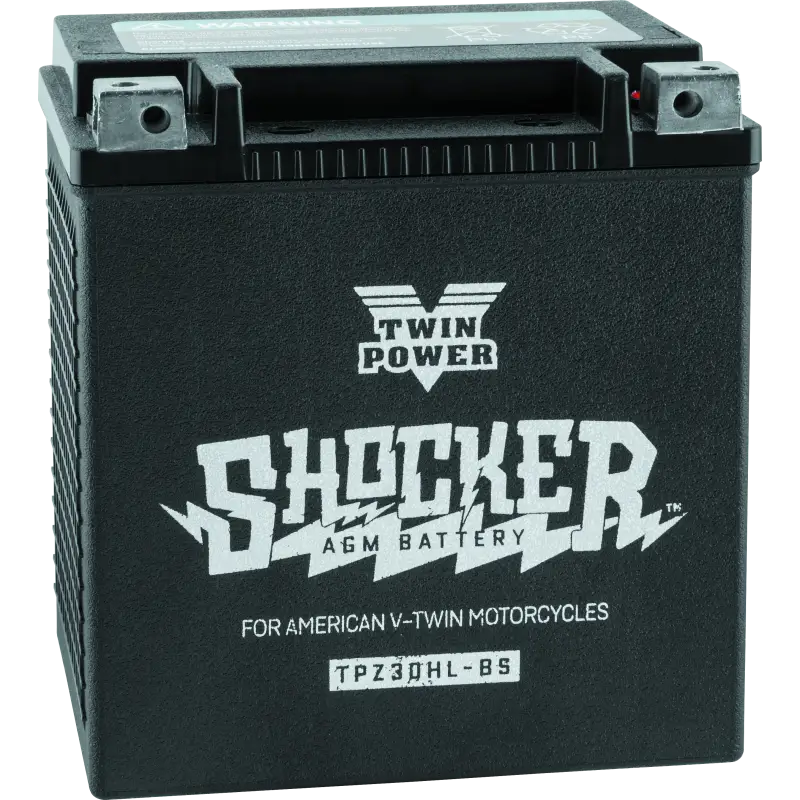 Twin Power Shocker Batteries