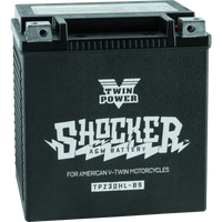 Twin Power Shocker Batteries